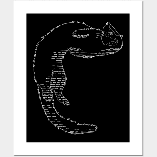 A linear ferret (white) Posters and Art